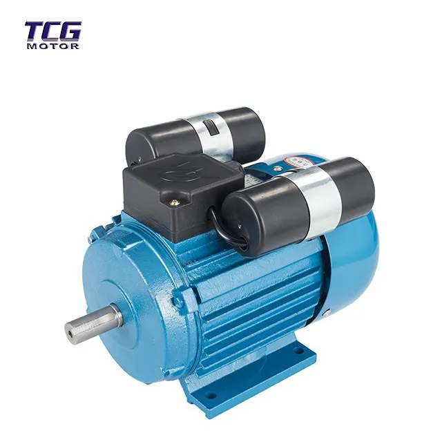 double capacitor motor