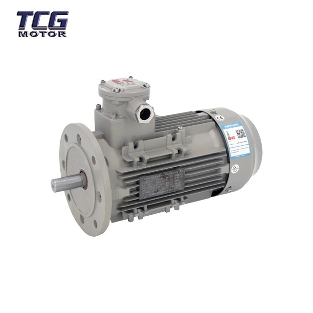 low voltage motor